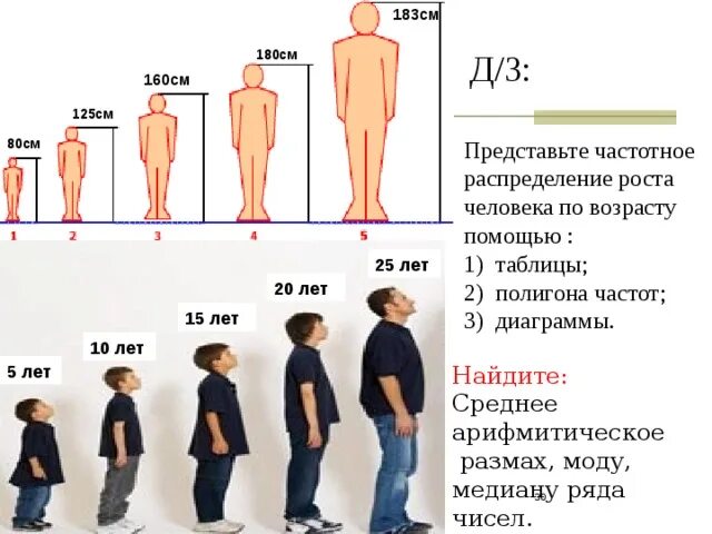 Рост человека таблица. Средний рост человека. Рост среднестатистического человека. Рост человека по возрасту.