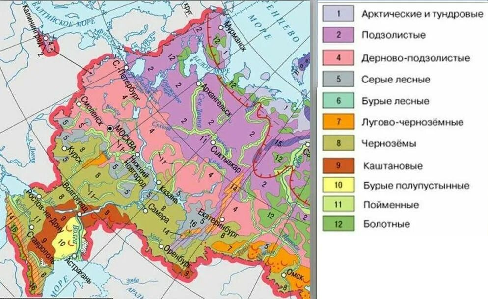 Почвенная карта России подзолистые почвы. Почвенная карта России подзолистые почвы контурная карта. Дерново-подзолистые почвы на карте России. Подзолистые почвы на карте России. Положение восточно европейской равнины в природных зонах