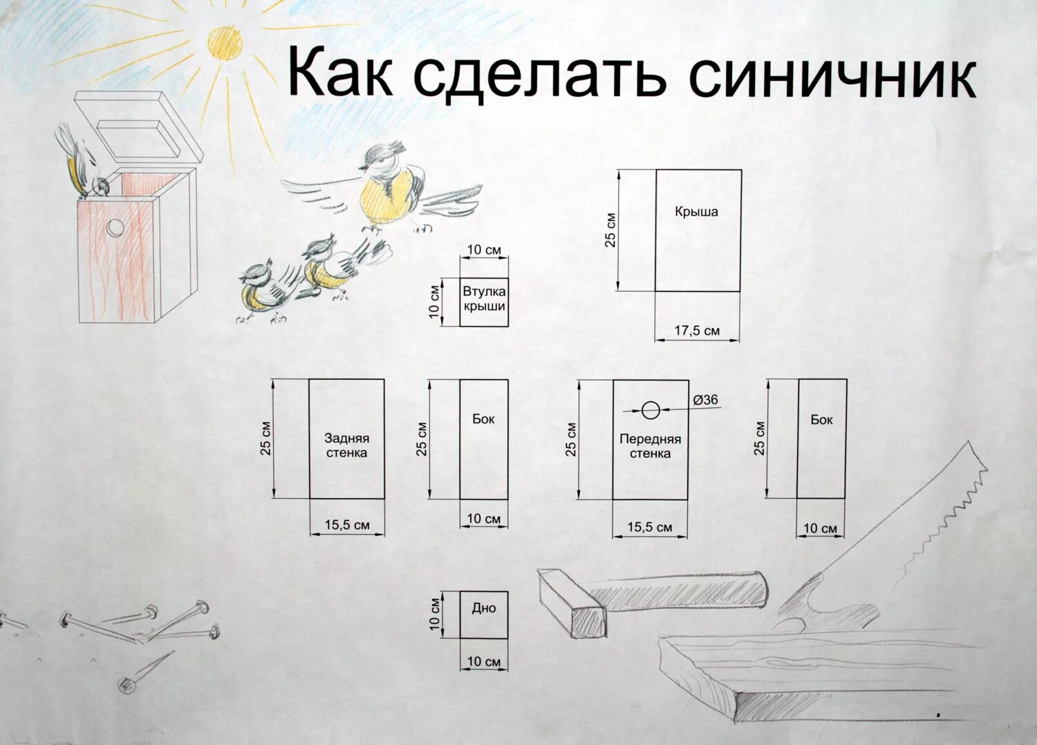 Какой диаметр для скворечника. Размеры скворечника для Скворцов. Чертёж синичника скворечника с размерами. Чертёж скворечника с размерами из дерева для Скворцов. Синичник чертеж дом для птиц.