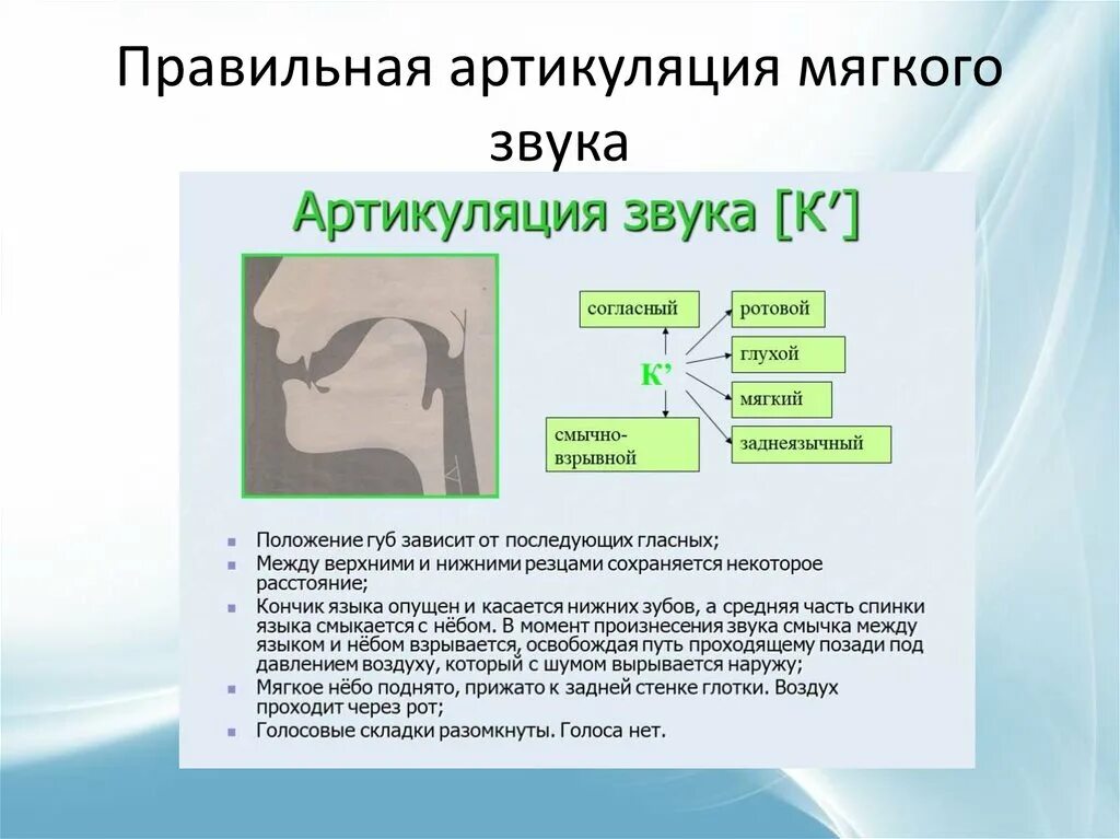 Процесс артикуляции. Правильная артикуляция с. Правильная артикуляция з. Артикуляция звука с. Дикция и артикуляция.