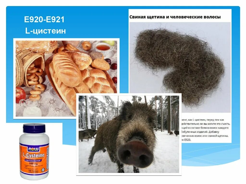Строение волоса кератин. Белок волос 7 букв сканворд. Кроссворды для печати. Кроссворды несложные. Химические свойства белков.