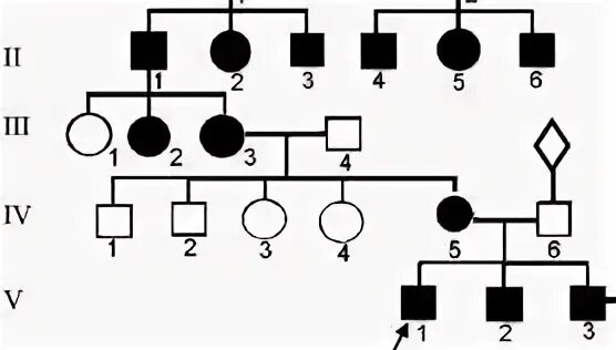 Пробанд страдает ночной слепотой. Родословная с митохондриальным типом наследования. Пробанд и две его сестры. Пробанд страдает ночной слепотой его два. Дядя по линии отца