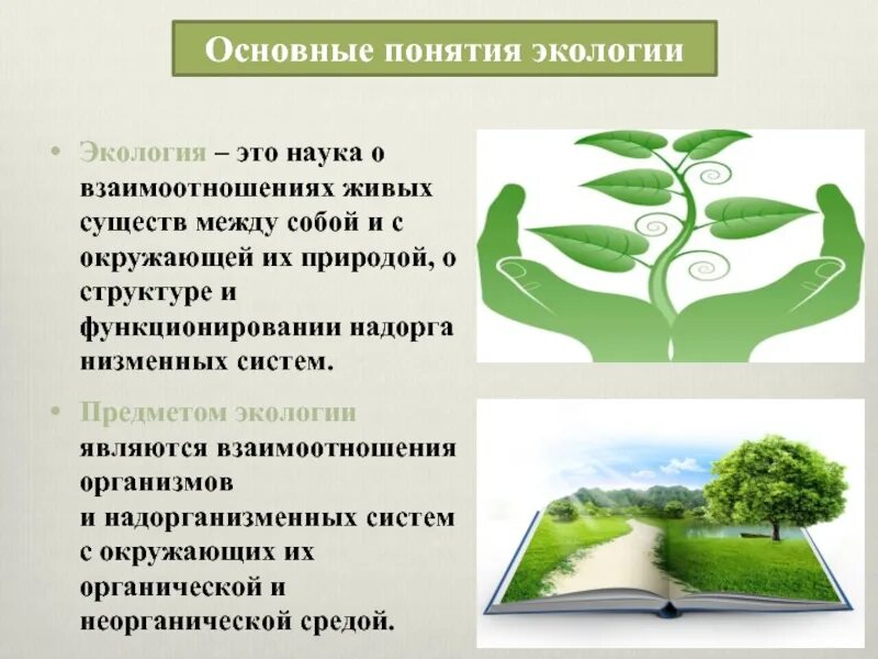 Как понять экология. Экология это наука. Понятие экология. Основные понятия и термины экологии. Основные понятия экологии.