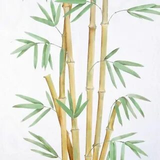 Бамбуковые рисунки