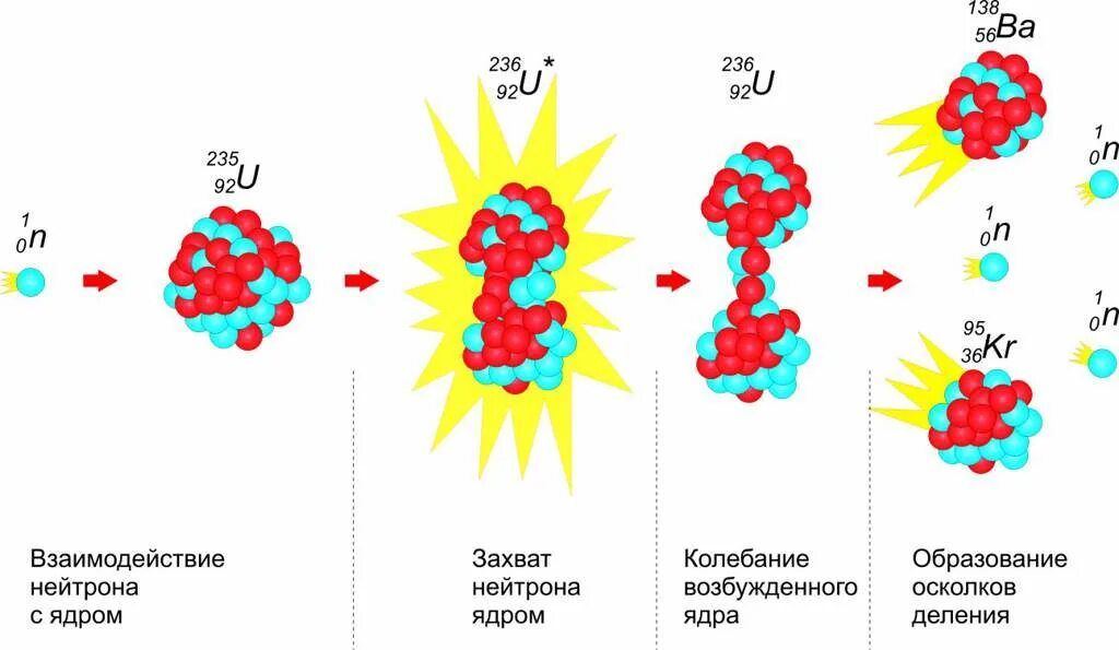Процесс деления ядра урана схема. Схема цепной реакции деления урана. Схема ядерной реакции урана. Цепные ядерные реакции деления ядер урана. В результате распада нейтрона образуются