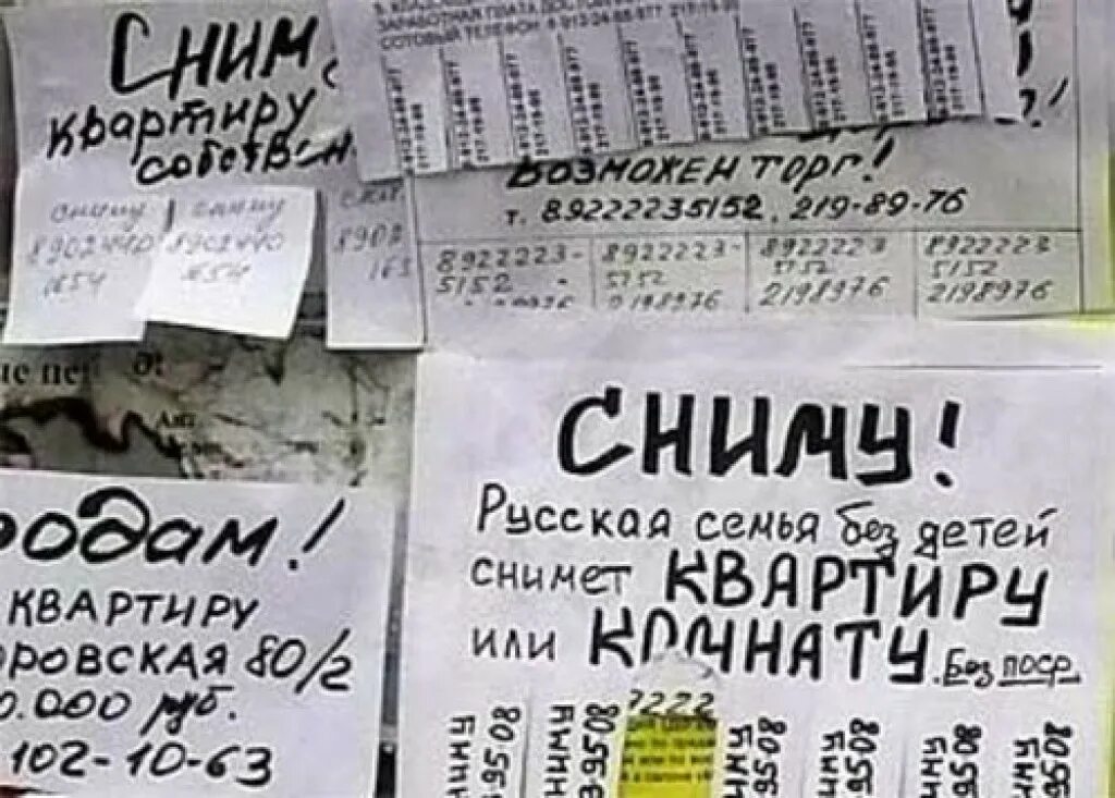 Сдам квартиру образец. Сниму квартиру объявление образец. Объявление о съеме квартиры образец. Сниму жилье объявление образец. Объявление о сдаче квартиры.