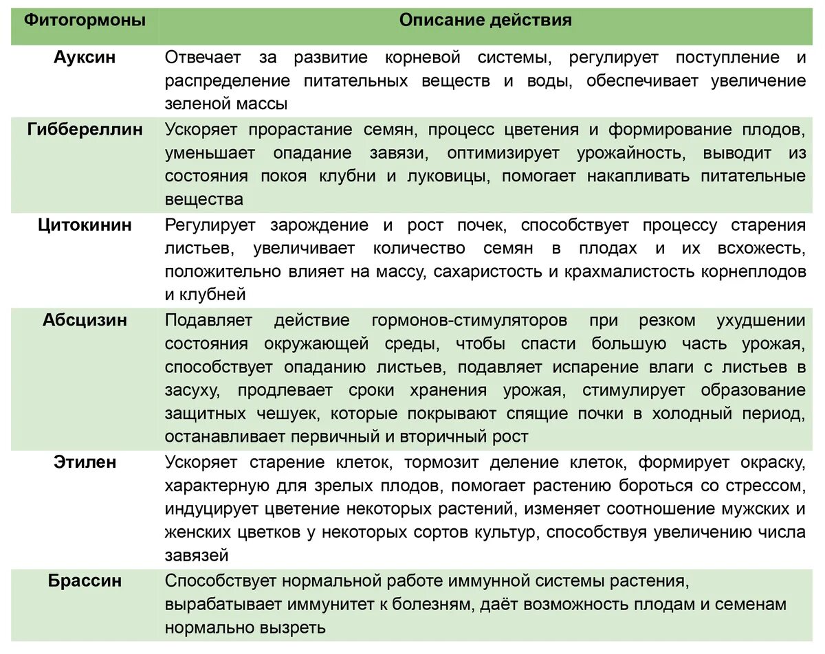 Влияние фитогормонов на рост. Гормоны растений фитогормоны. Регуляторы роста растений классификация. Фитогормоны и их функции. Ростовые гормоны растений.