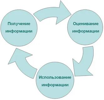 Сведения получены с использованием