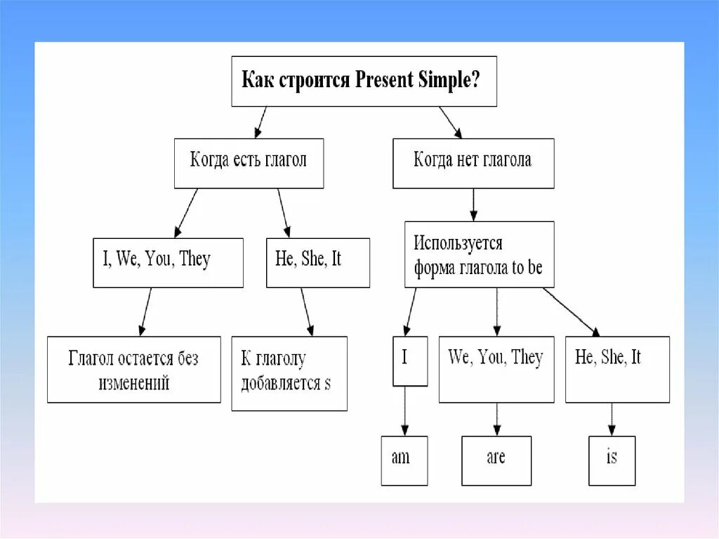 Present simple предложения 3 класс. Present simple предложения 3 класс