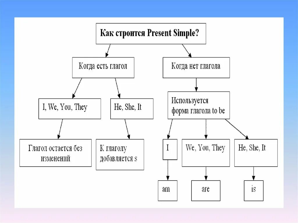 Настоящее простое время в английском языке схема. Как строится предложение в английском present simple. Схема строения present simple. Схема презент Симпл в английском языке.