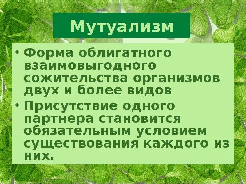 Сожительство двух организмов полезное обоим. Формы сожительства организмов. Сожительства виды сожительства организмов. Формы сожительства организмов разных видов. Формы сожительства организмов разных видов презентация.