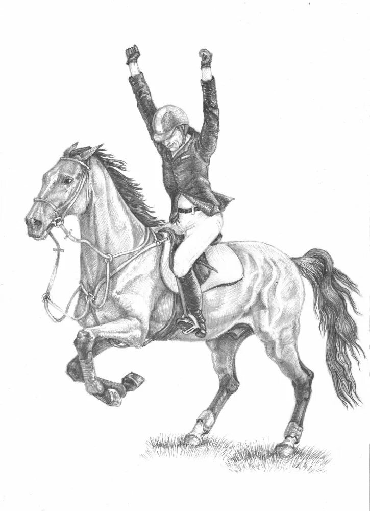 Лошадь рисунок. Лошадь карандашом. Лошадь рисунок карандашом. Всадник на лошади карандашом.
