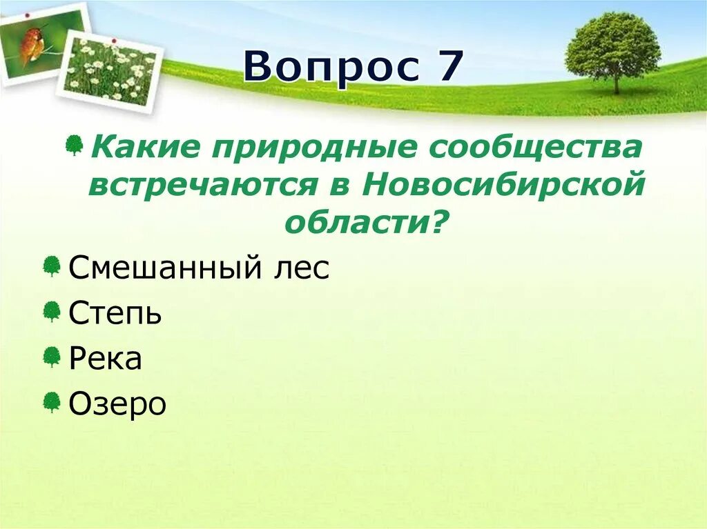 Природные сообщества. Какие природные сообщества встречаются. Природные сообщества 5 класс. Какие природные сообщества встречаются в Ульяновской области. Вопросы по биологии природные сообщества