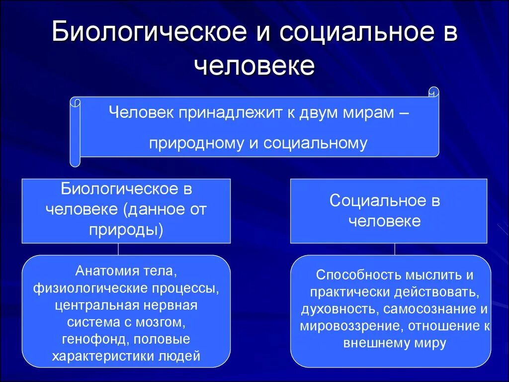 Специфику социальной природы человека. Соотношение биологического и социального в человеке философия. Социальное в человеке. Природное и социальное в человеке. Взаимосвязь социального и биологического.