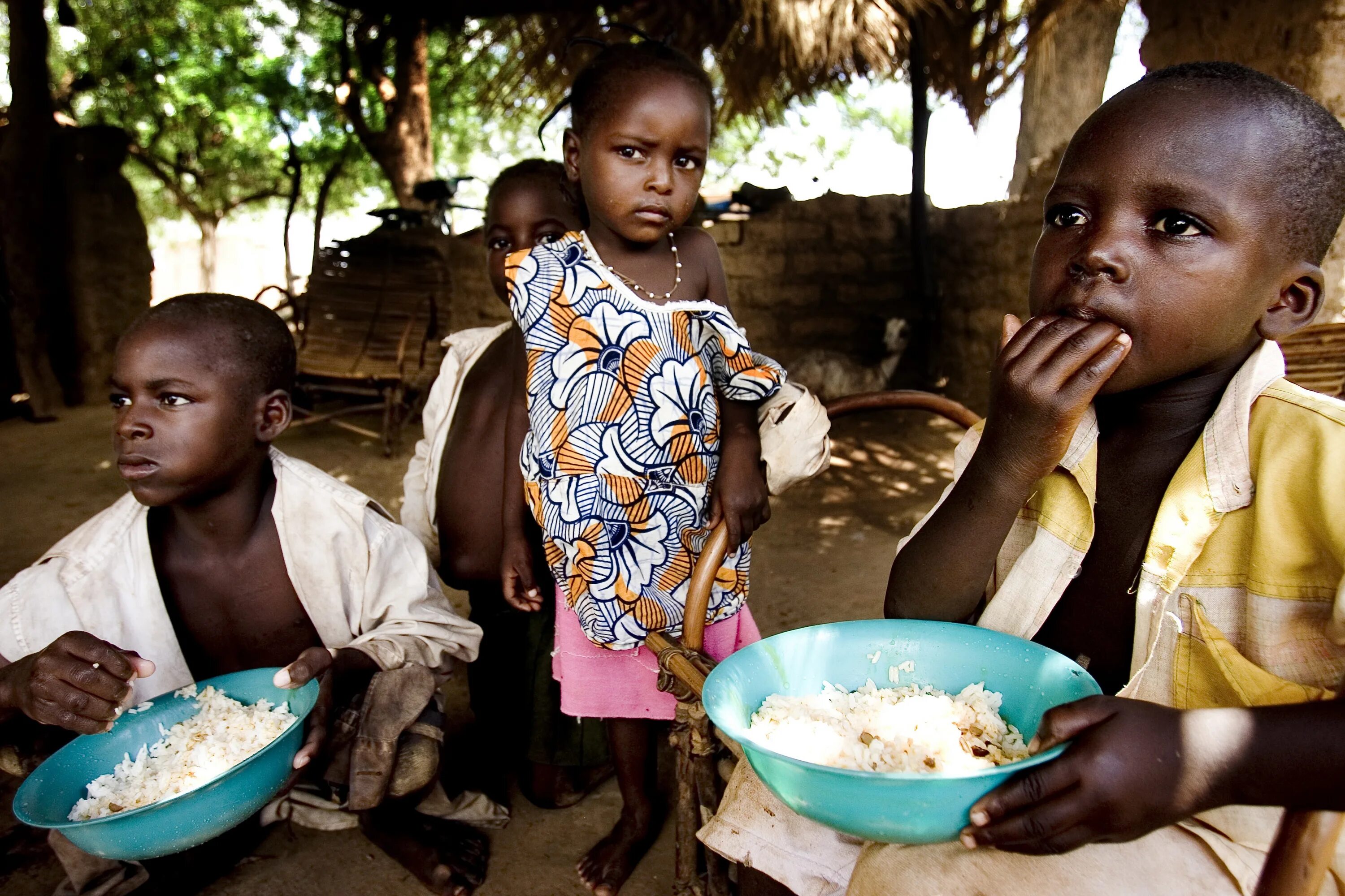 Бесплатное голод. Developing Hunger. Food Security in Africa. Charity on Africa food. WFP.