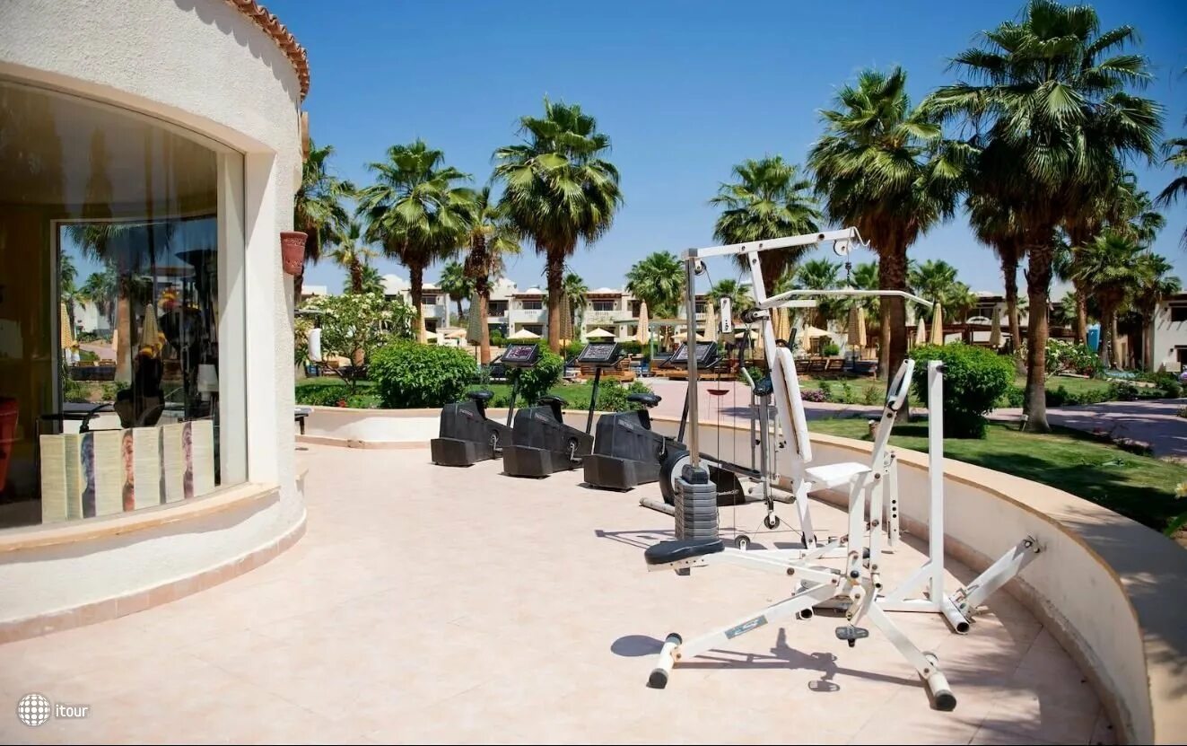 Amphoras aqua (ex. Shores golden) 4*. Shores golden 4. египет шарм-эль-шейх amphoras aqua (ex. Amphoras aqua hotel 4 шарм-эль-шейх.