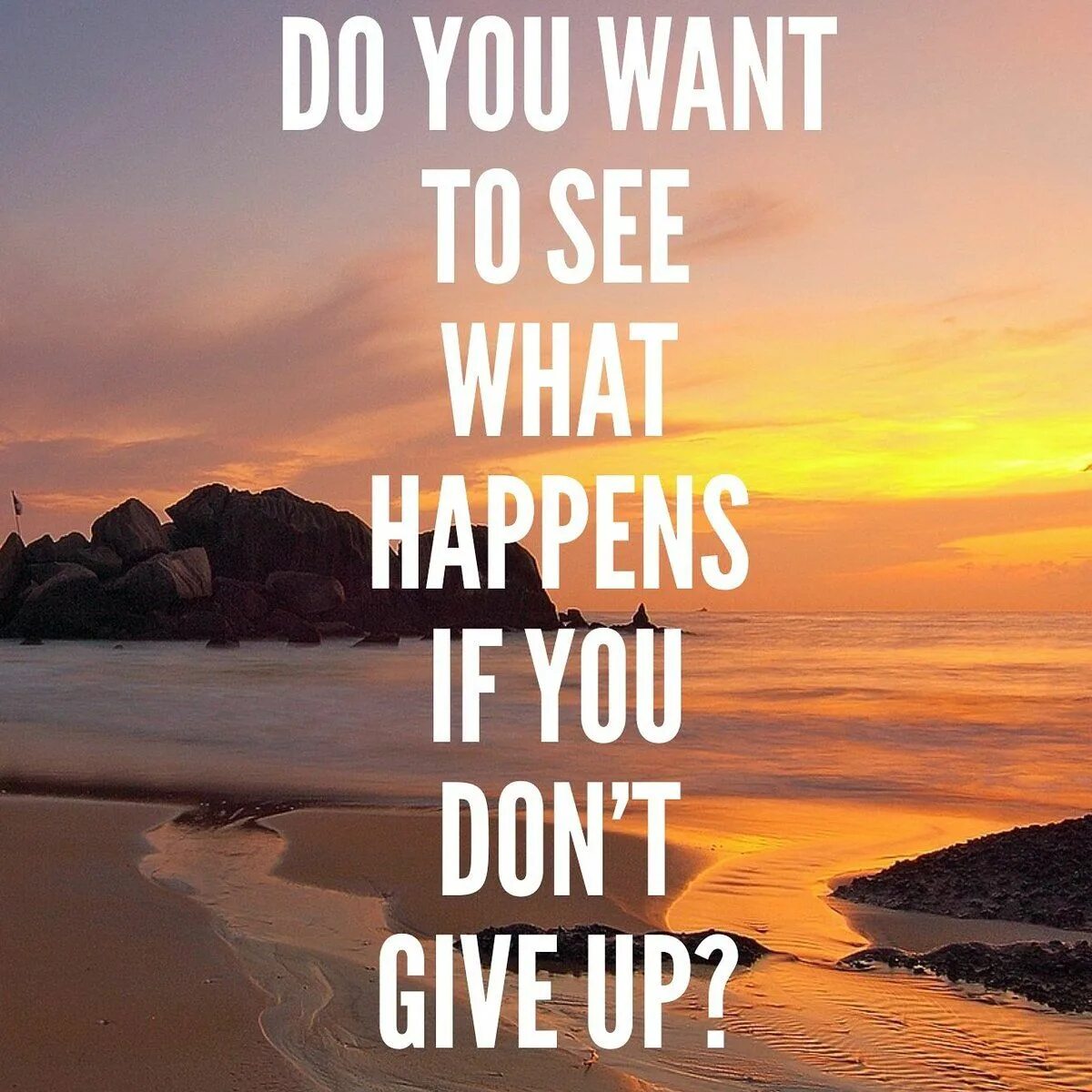 What i give up. Don&#039;t give up. if you can see what i see. can you give me your фото. i give up.