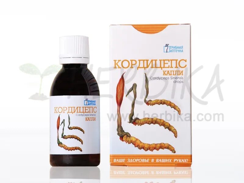 Cordyceps инструкция. Кордицепс sinensis. Кордицепс сироп. Лекарство кордицепс Синенсис. Настойка кордицепса.