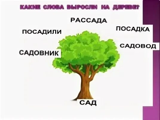 Собака однокоренные слова