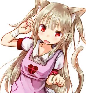 Neko nya webcam