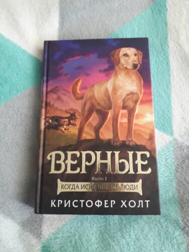 Верные книга отзывы