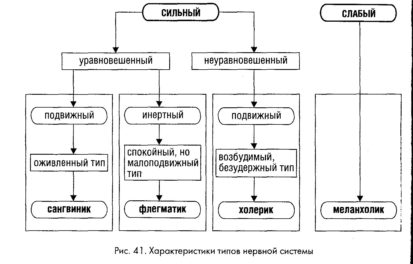 Сильный уравновешенный подвижный тип нервной. Классификация Павлова типы темперамента. Тип нервной деятельности схема. Типы нервной системы по и п Павлову. Типы темперамента схема.