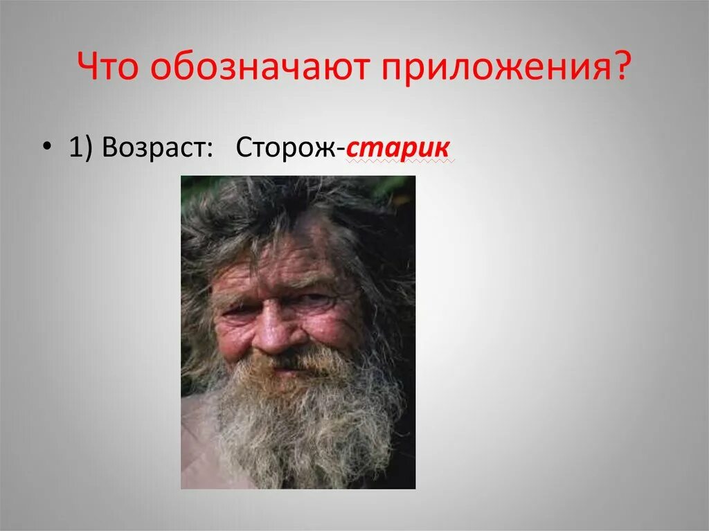 Приложение сторож. Сторож старик где приложение. что обозначает приложение в контексте «старик-отец»?.