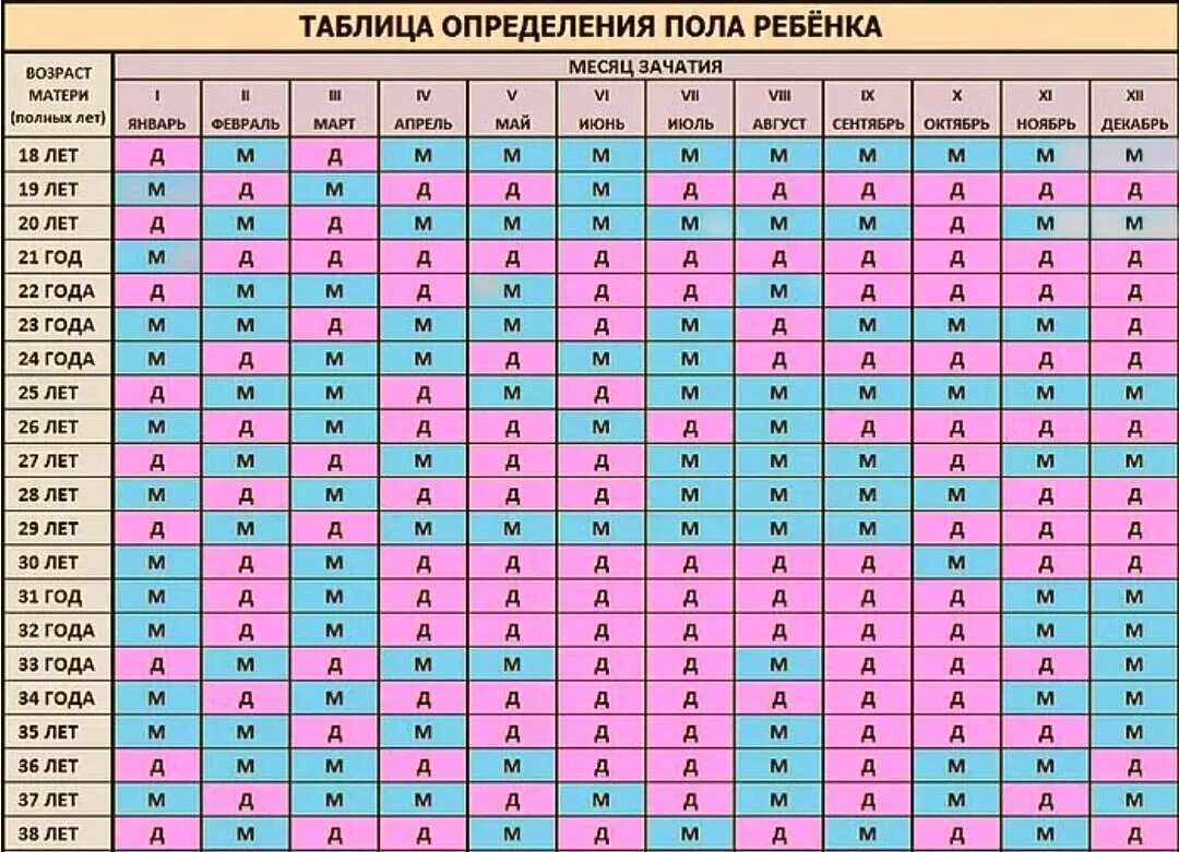 Определяет пол и возраст