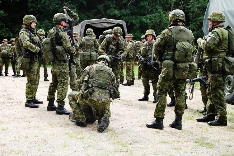 аэромобильные войска украины. военные сборы. силы обороны эстонии. резервисты финляндии фото. барс мобилизационный резерв.