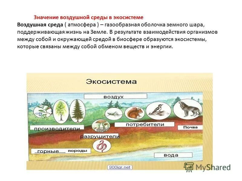 Значение воздушной среды для человека