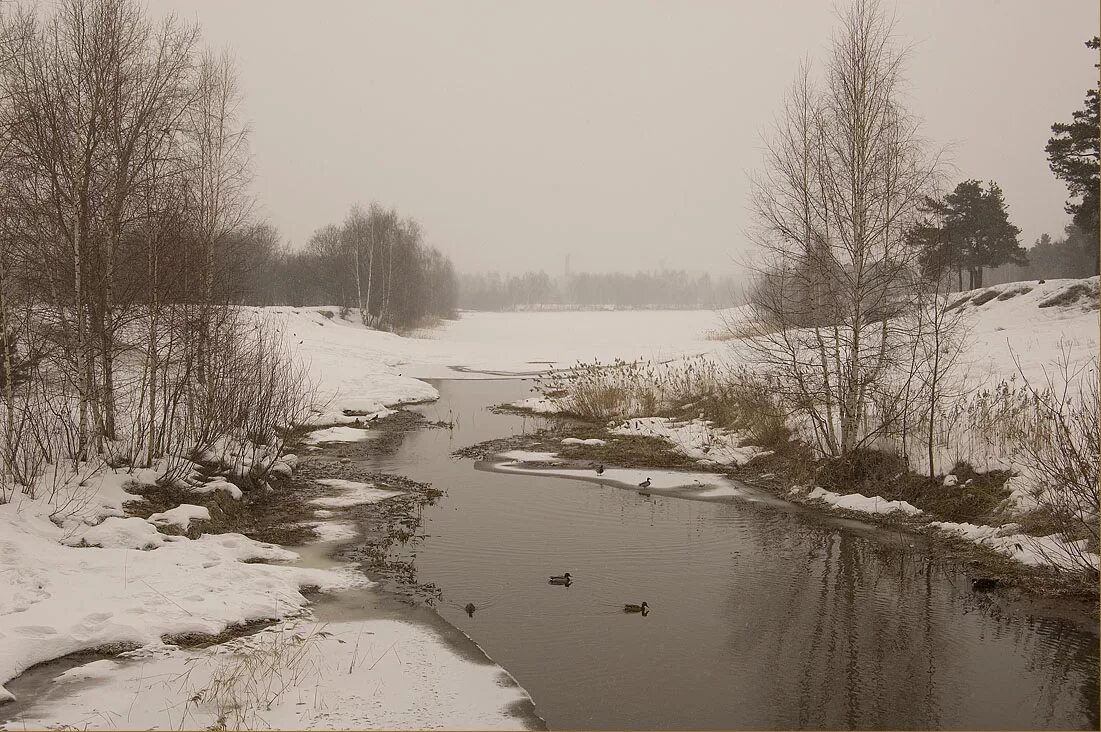 пасмурный март. пасмурный март. пасмурная осень. пасмурный март. пасмурный март.