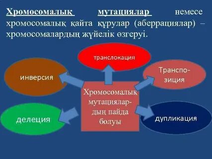Армян әйел жыныстық қатынасқа түседі