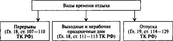 Виды времени отдыха виды отпусков. Виды времени отдыха по трудовому кодексу. Виды времени отдыха таблица. Виды времениотдхыа таблица. Виды времени отдыха схема.