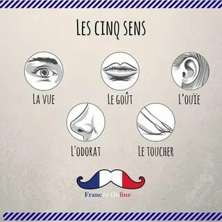 Le sens