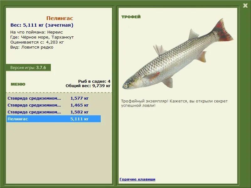 желтощек реальная рыбалка