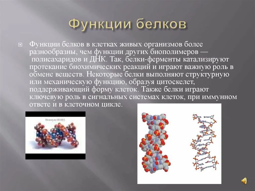 Роль белков в живых организмах. Строение и функции белков в организме человека. Структура свойства и функции белков. Белок структура строение функции.