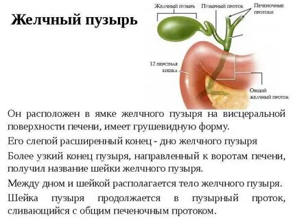 Куда поступает желчь после удаления
