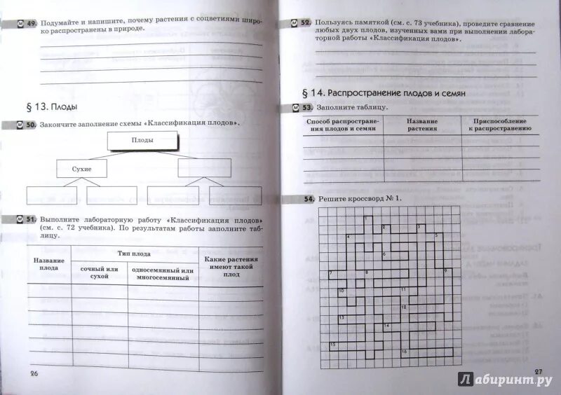 Пасечник многообразие покрытосеменных. Рабочая тетрадь по биологии 6 класс Пасечник цветок. Тренировочные задания по биологии 6 класс Пасечник тетрадь. Биология 6 класс тетрадь Пасечник. Многообразие растений 6 класс рабочая тетрадь.
