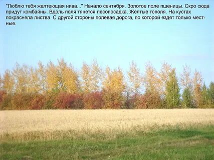 И дни бегут желтеют нивы