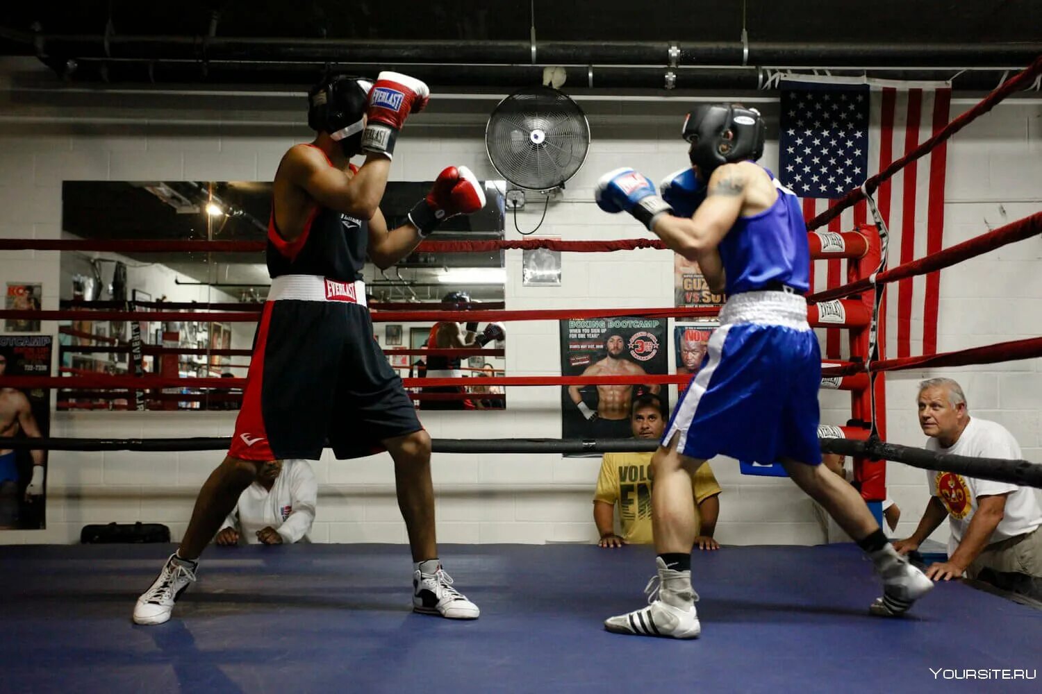 Спортивные боксеры. Бокс. Бокс тренировка. Бокс спарринг. Тренировка боксера.