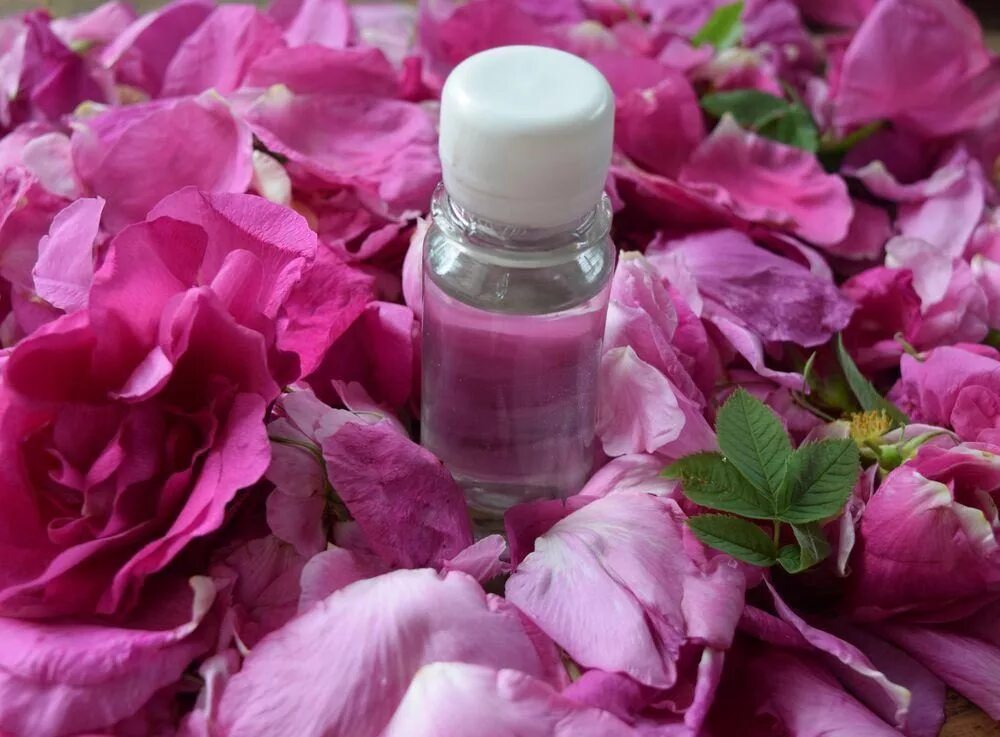 Домашняя розовая вода. Гидролат розы дамасской. Гидролат лепестков шиповника. Розовое масло. Лосьон из лепестков роз.
