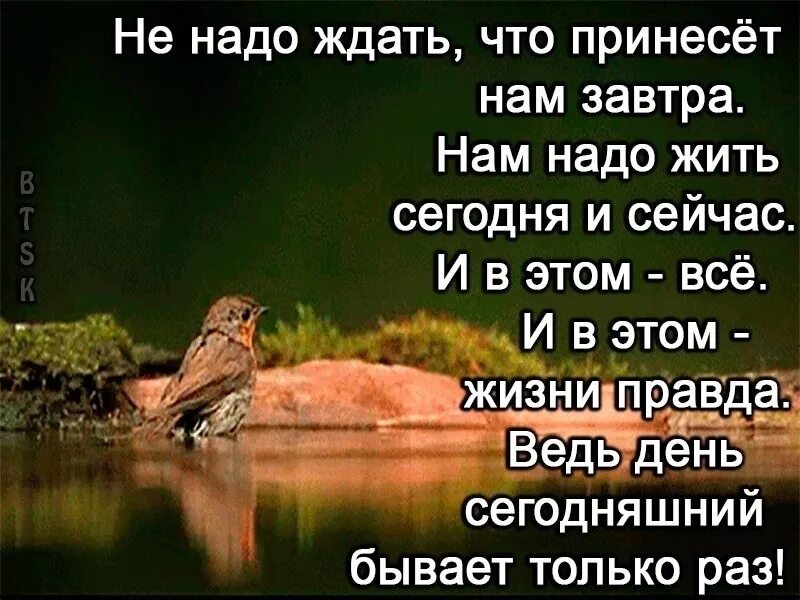 Жить надо сегодня. Надо жить сегодняшним днем. Надо жить здесь и сейчас цитаты. Жить надо здесь и сейчас завтра может не наступить.