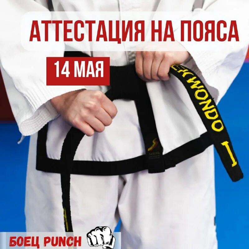 аттестация по каратэ на пояса. аттестация на желтый пояс тхэквондо. бело-желтый пояс тыквандо атф. аттестация на пояса. пояса тхэквондо втф гып.