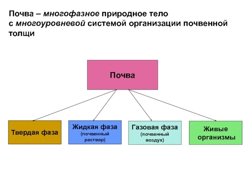 Жидкая фаза