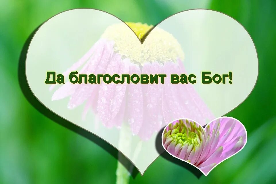 Благословенного доброе утро картинки с надписью. Благословений от Господа. День благословения открытки. Открытки с добрым утром и Божьим благословением. Надпись Божьих благословений.