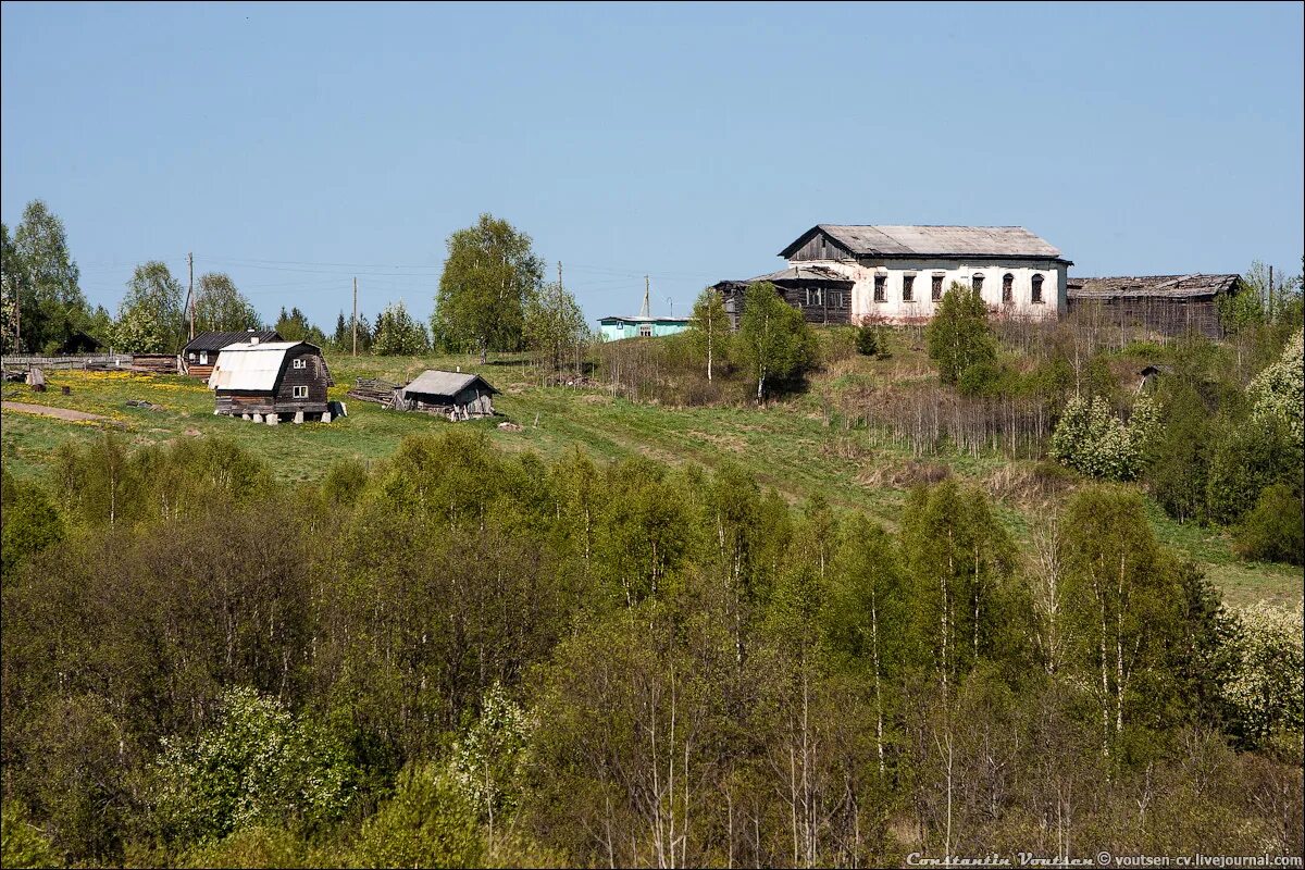 Вельская область поселок