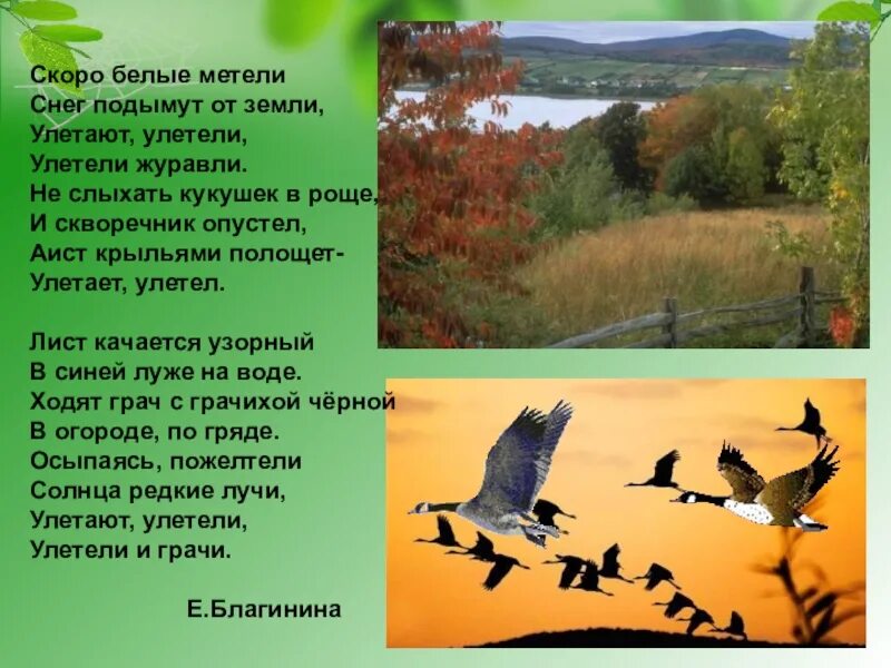 Улетают птицы в дальние. Стихотворение е.Благининой улетают улетели. Улетают улетели Журавли стих. Улетели Журавли стихотворение. Е. Благининой "улетают, улетели...".