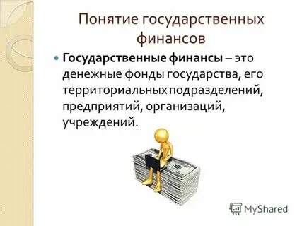 Понятие государственного финансирования