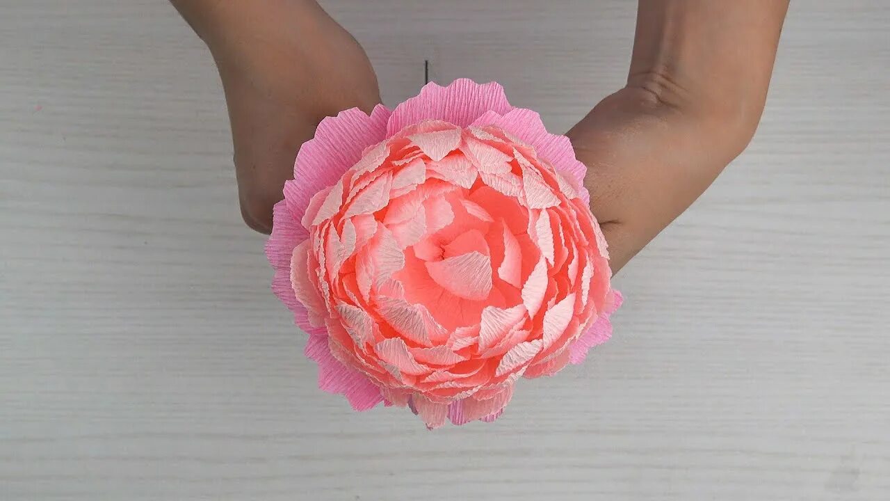 Пионы из гофрированной бумаги мк. Как сделать пионы из бумаги. Пионы из гофрированной бумаги. Объемные цветы из гофрированной бумаги. Пион из гофробумаги мастер класс.