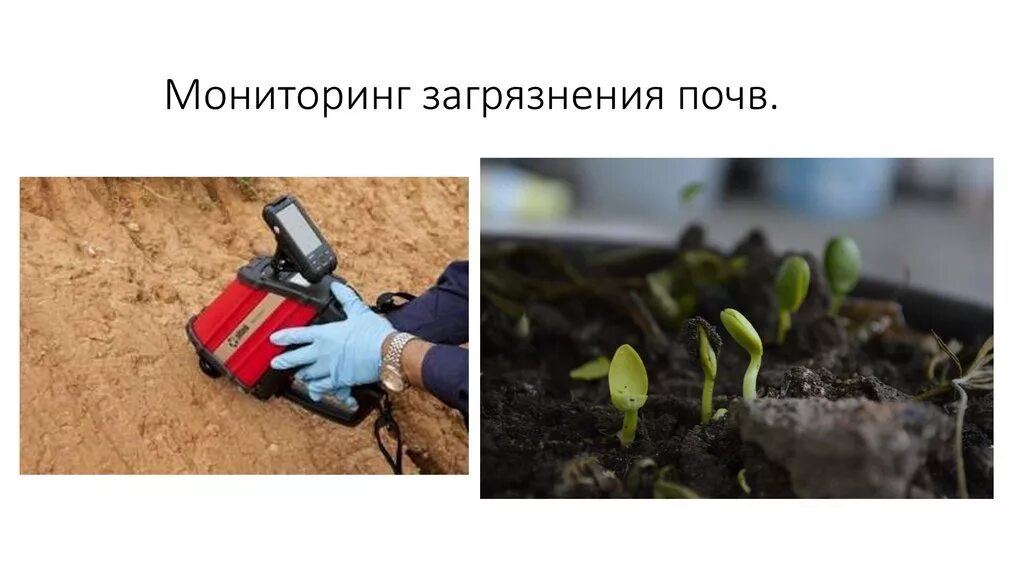 Почвенный мониторинг. Мониторинг состояния почв. мониторинг загрязнения почв. экологический мониторинг почв. мониторинг почвенного покрова.